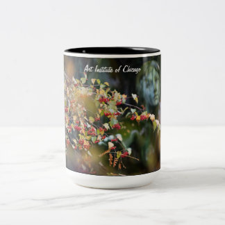 Instituto da arte da caneca de Chicago