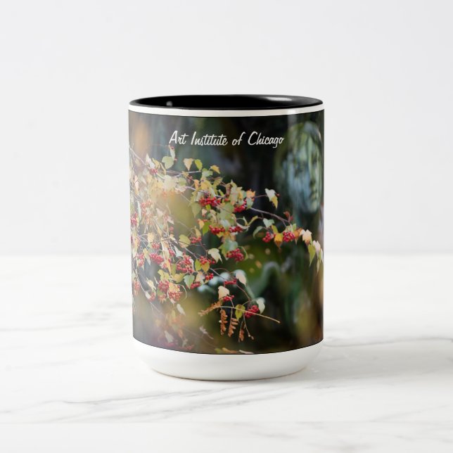 Instituto da arte da caneca de Chicago (Centro)