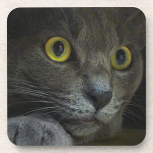 Intensidade de Porta copos