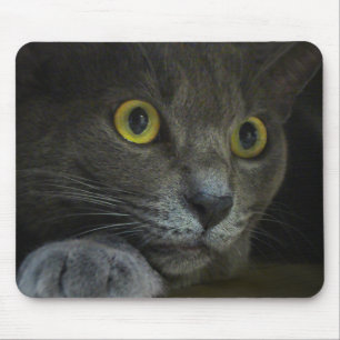 Intensidade do Mousepad