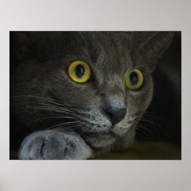 Intensidade Impressão (Frente)