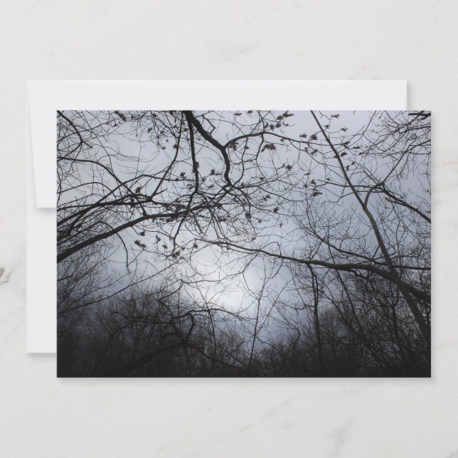 Interligado (Frente)