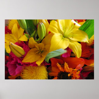 Interrupções de Poster de cores