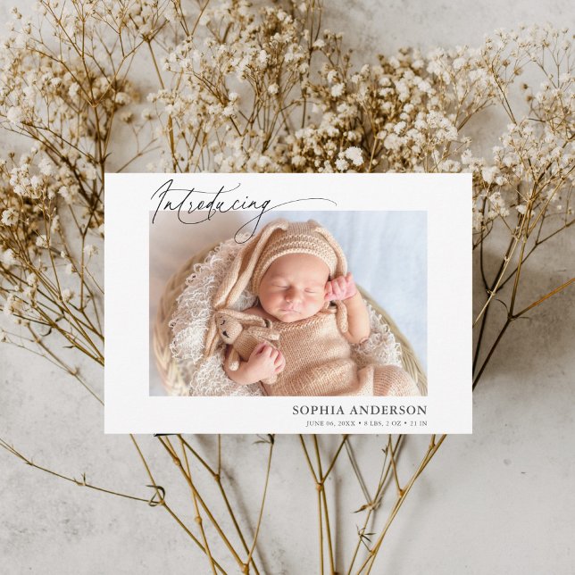 Introdução ao Anúncio de Foto de Script (Criador carregado)