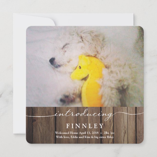 Introdução ao Novo Pet | Anúncio do bebê (Frente)