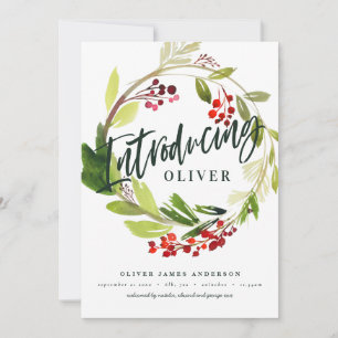 Introdução botânica natalícia anúncio de nasciment