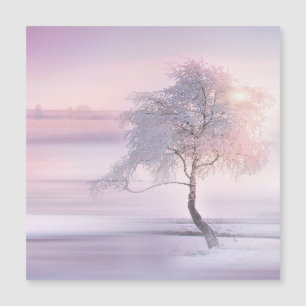 Inverno 05