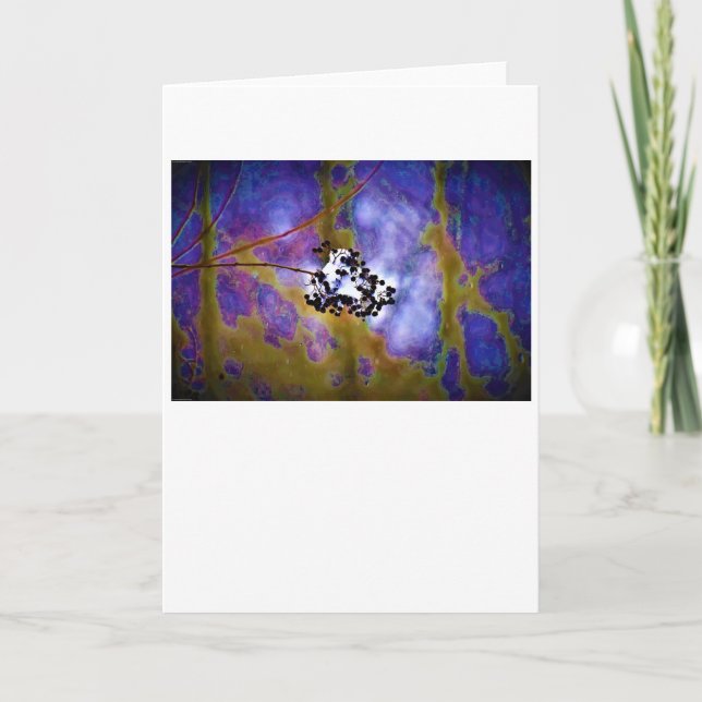 Inverno, cartão (Frente)