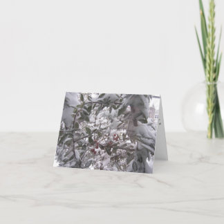 Inverno Quente Desperta Cartão de Natal