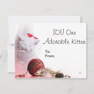 IOU One Adorable Kitten