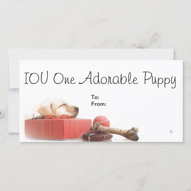 IOU One Adorable Puppy (Frente)