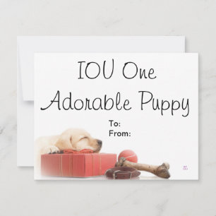 IOU Um cachorrinho Adorável