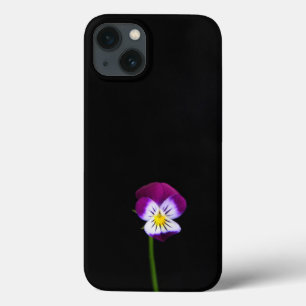 iphcn violeta