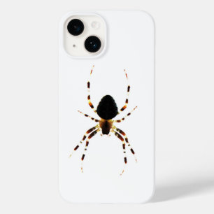 iphcnm de aranha