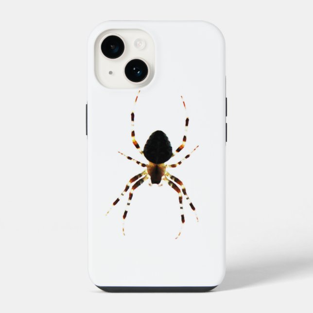 iphcnm de aranha (Verso)