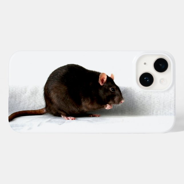 iphcnm de rato (Verso (horizontal))