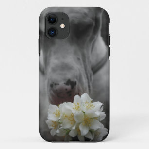 iPhone 11 Capa personalizada para smartphone novo