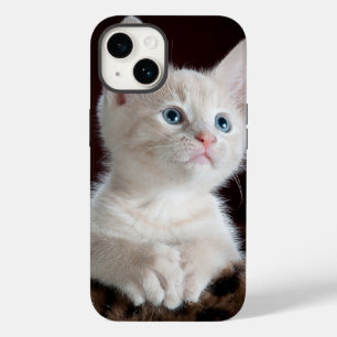 iphone 14 capas amor de gato