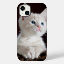 iphone 14 capas mais amor de gato