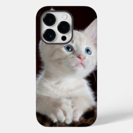 iphone 14 capas pro cat love