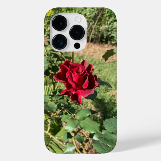 iPhone 14 Pro de Rosa vermelha profunda (Verso)