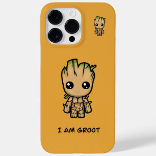 iPhone / iPad case