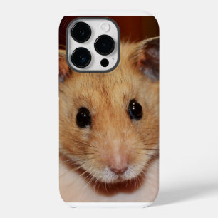 iPhone / iPad de Hamster Doce