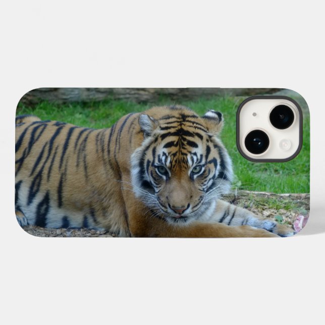 iPhone/iPad do Gaze de Tiger (Verso (horizontal))