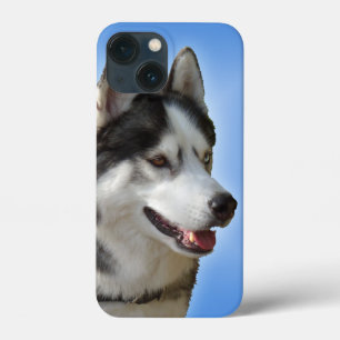 iPhone ronco 6 exemplos do Malamute do rouco