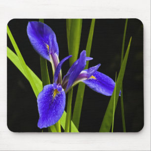 Íris azul Mousepad