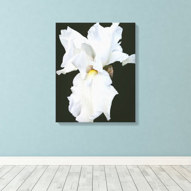 Iris de Barba Branca em Impressão em Tela de Fundo (Insitu(piso de madeira))