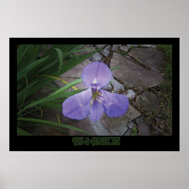 "Iris & Flagstone" - Impressão (Frente)