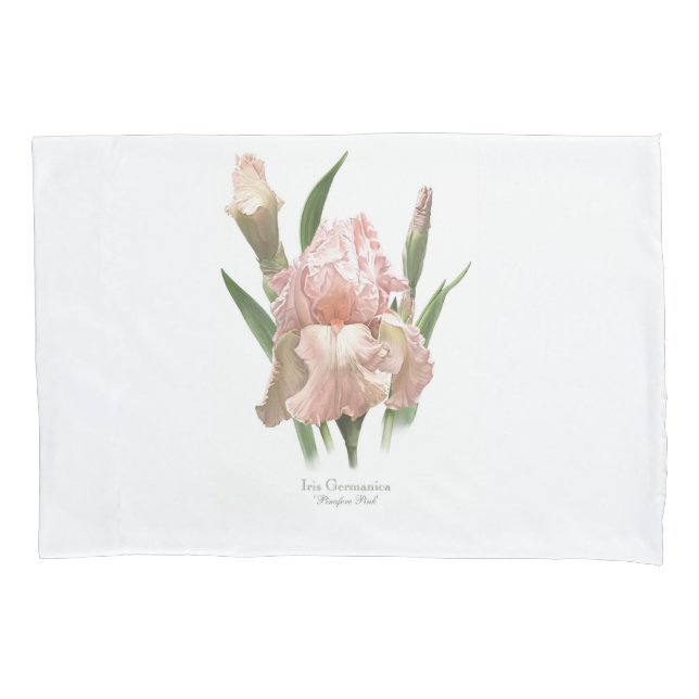 Íris Rosa Corada (Frente)