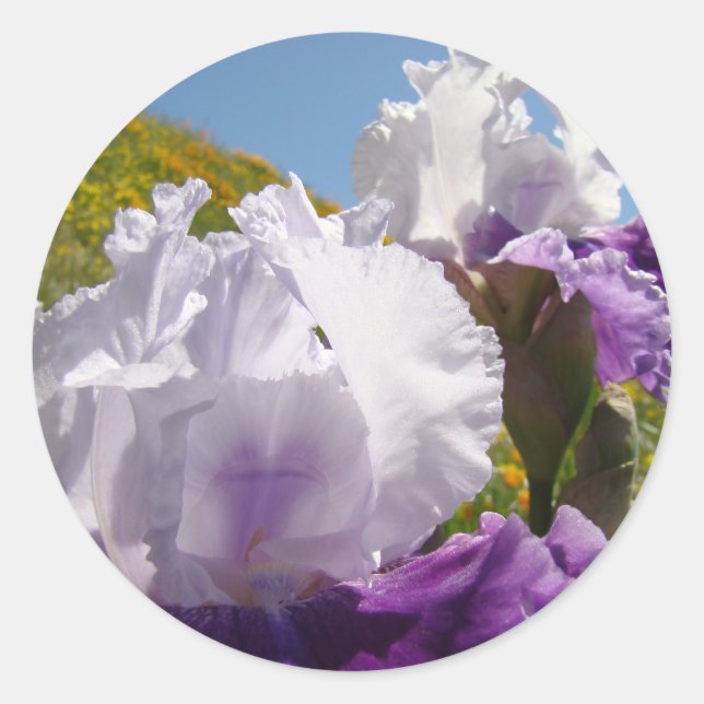 Íris Roxo Branco adesivos Verão Flor Íris Flores (Frente)