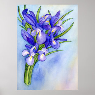 Iris Vase Watercolor Pininting Poster
