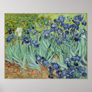 Irises - Impressão Van Gogh