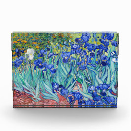 Irises Vincent van Gogh