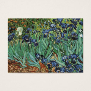 Irises Vincent van Gogh