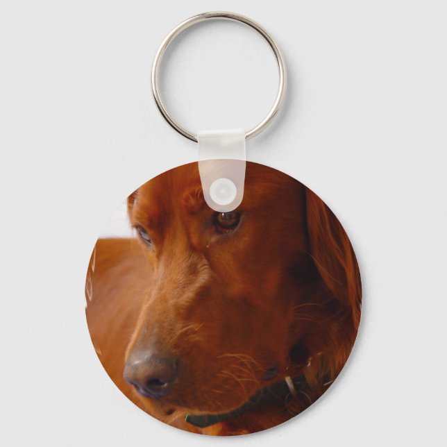 Irish Setter Chaveiro (Frente)