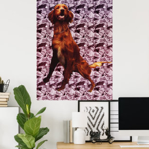 Irish Setter com o padrão Lavendar Flower Poster