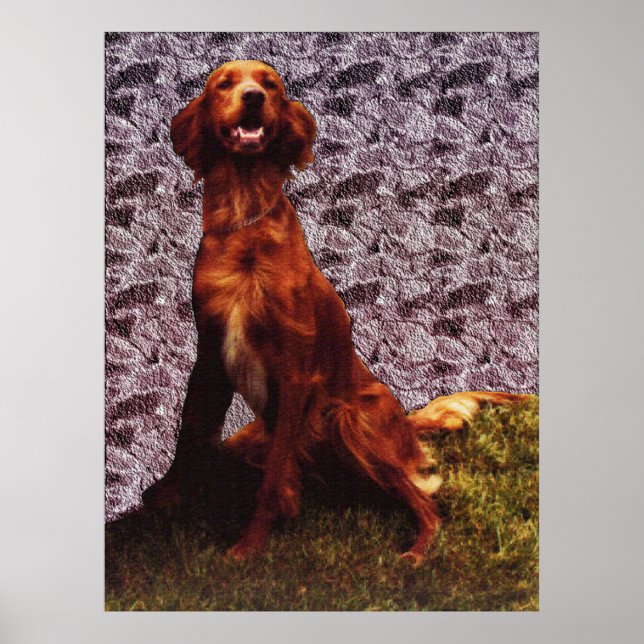 Irish Setter e Patterte Concrete Wall Poster (Frente)