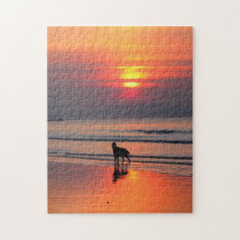 Irish Setter em Sunset no Quebra-cabeça do Mar da 