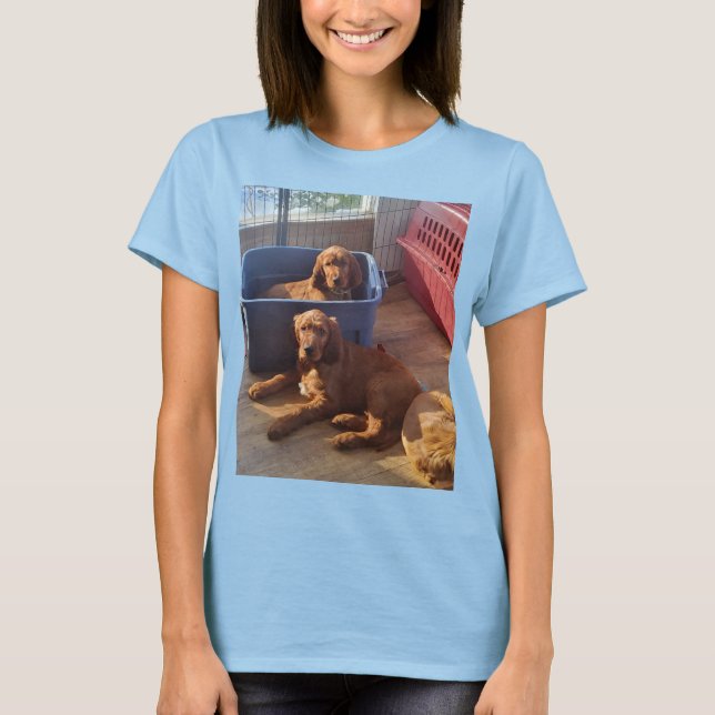 Irish Setter Puppies T-shirt (Frente)