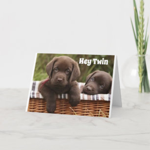 **IRMÃO GÊMEO OU IRMÃ GÊMEA** CARTÃO DE ANIVERSÁRI