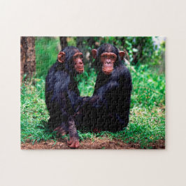 Irmãos Chimpanzés Cachorros, Quebra-cabeça