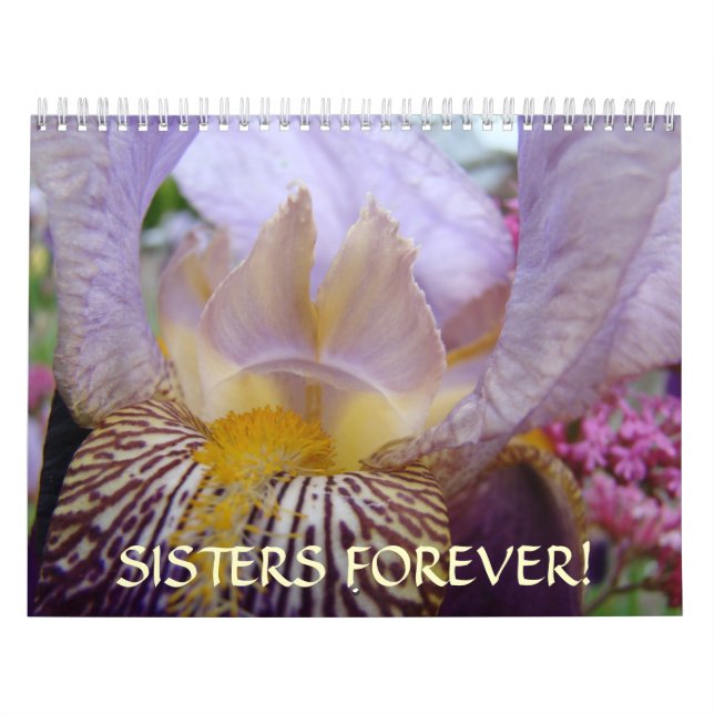 IRMÃS PARA SEMPRE! O calendário torna iridescentes (Capa)
