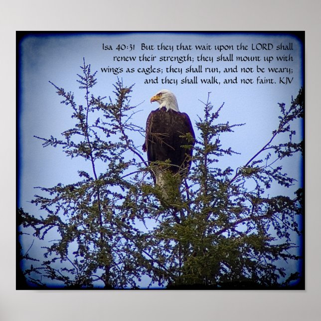 Isaiah 40:31 poster (Frente)