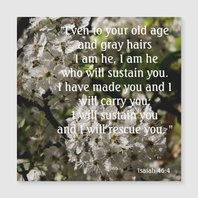 Isaiah 46:4 (Frente)