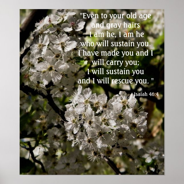Isaiah 46:4 poster (Frente)