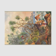 Island Ernst Haeckel Decoupage Papel Tecidual